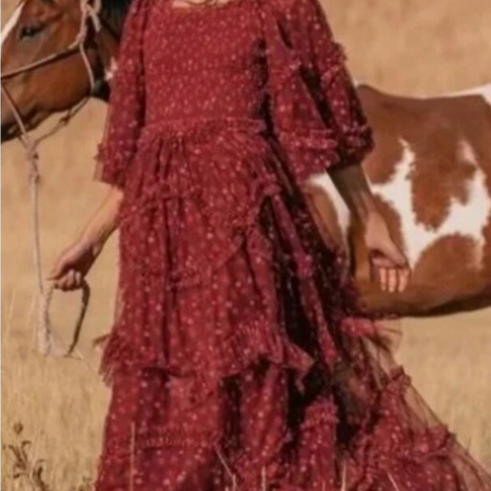 JessaKae Burgundy Floral Tulle Dress